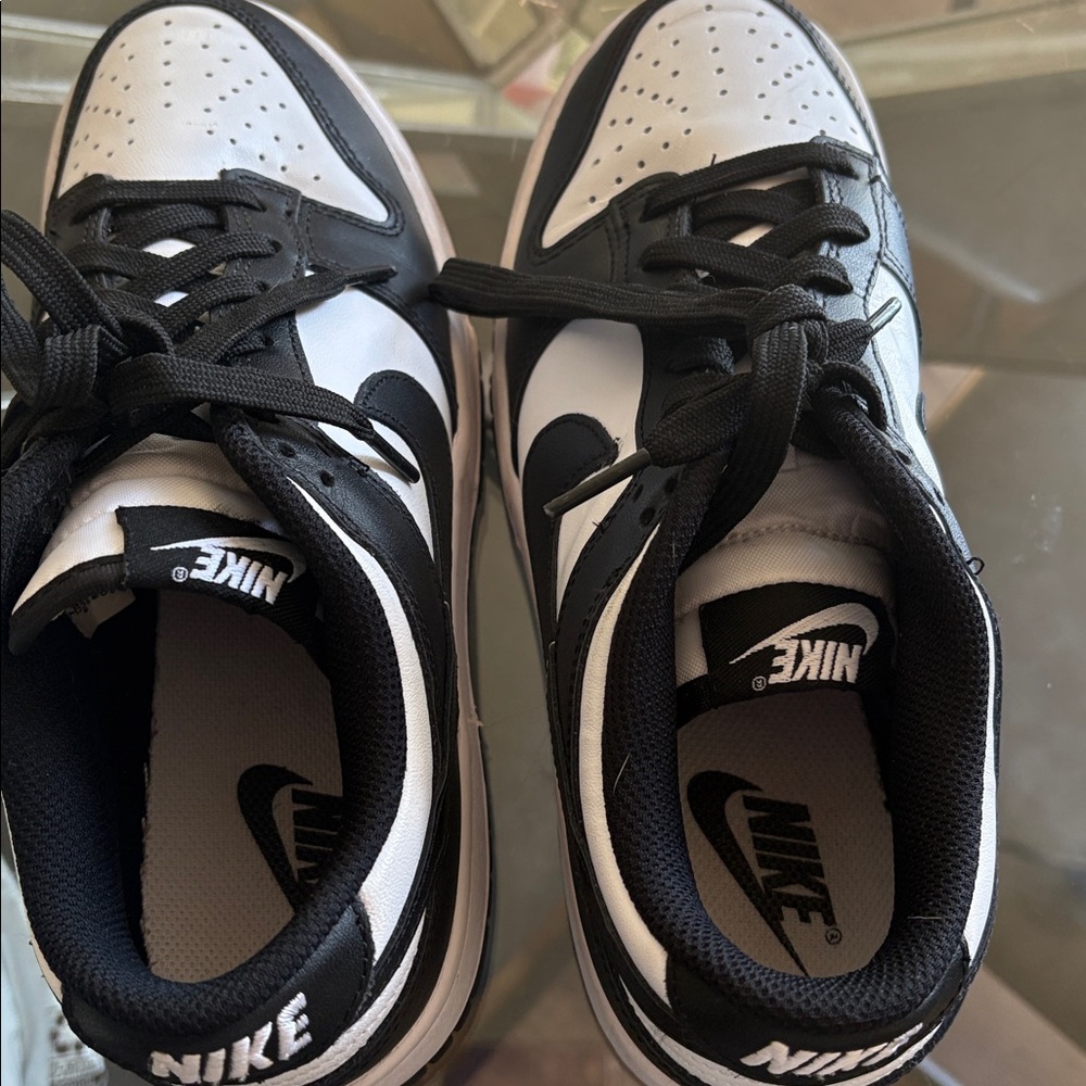 Nike Women's Dunk lowtop